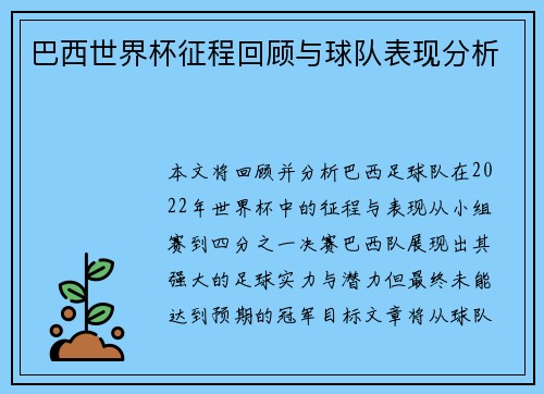 巴西世界杯征程回顾与球队表现分析