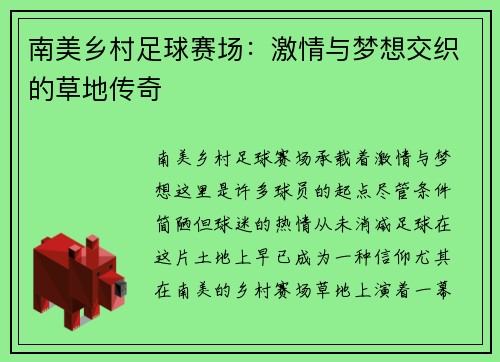 南美乡村足球赛场：激情与梦想交织的草地传奇
