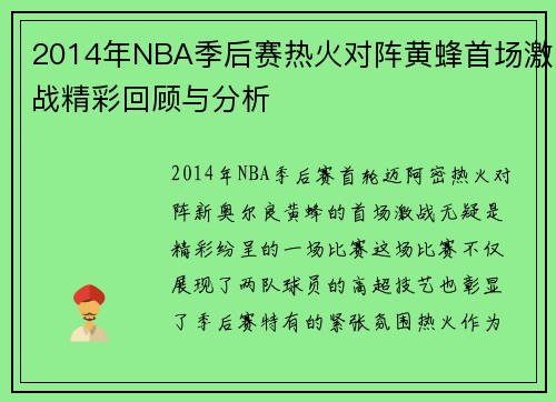 2014年NBA季后赛热火对阵黄蜂首场激战精彩回顾与分析