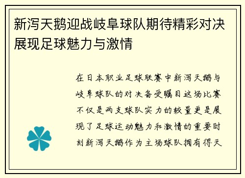 新泻天鹅迎战岐阜球队期待精彩对决展现足球魅力与激情